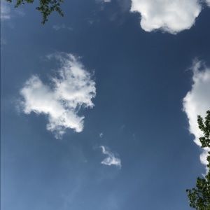 Meet your Posher, Desteny